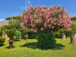 Pozzuoli07-07-2024 alle 18:39:13 4